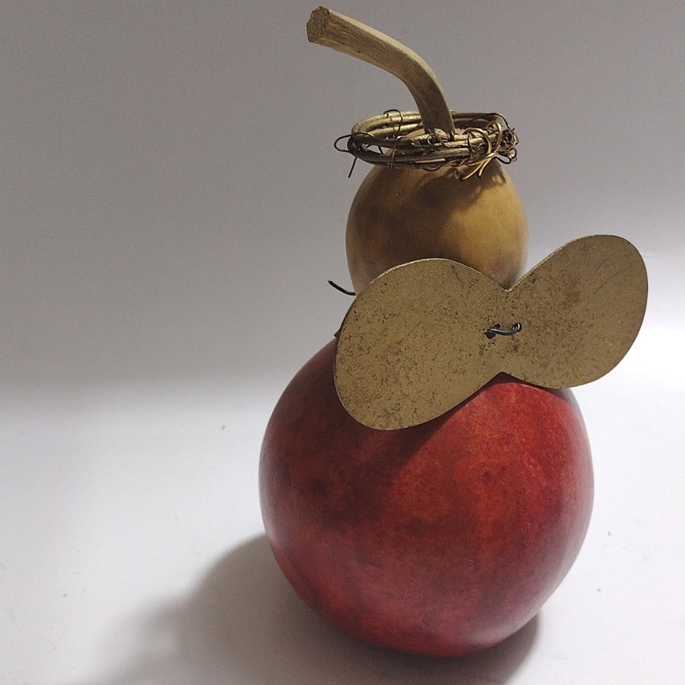 Angel Gourd - Picture 3 of 4